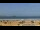 Webcam in Essaouira, 0.4 km