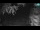 Webcam in Kranjska Gora, 0 mi away