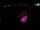 Webcam in Roses, 1.9 mi away