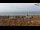 Webcam in Bibione, 2.9 mi away