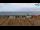 Webcam in Bibione, 0.6 mi away