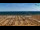 Webcam in Bibione, 1.6 km entfernt
