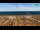 Webcam in Bibione, 1.6 km
