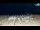 Webcam in Bibione, 0.6 mi away
