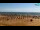 Webcam in Bibione, 7.5 km