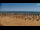 Webcam in Bibione, 0.9 mi away
