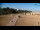 Webcam in Bibione, 1 mi away