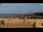 Webcam in Bibione, 12 km