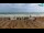 Webcam in Bibione, 12.6 km