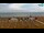 Webcam in Bibione, 3 mi away