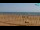 Webcam in Bibione, 10.4 km