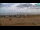 Webcam in Bibione, 1.5 mi away