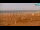 Webcam in Bibione, 0.6 mi away