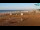Webcam in Bibione, 0.7 mi away