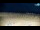 Webcam in Bibione, 1.5 mi away