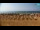 Webcam in Bibione, 10.4 km