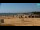 Webcam in Bibione, 1.6 km entfernt