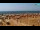 Webcam in Bibione, 0.6 mi away