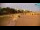 Webcam in Bibione, 0.6 mi away