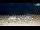 Webcam in Bibione, 1.5 mi away