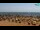 Webcam in Bibione, 3.9 km