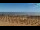 Webcam in Bibione, 5 mi away
