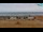 Webcam in Bibione, 7.5 km