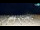 Webcam in Bibione, 7.5 km entfernt