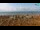 Webcam in Bibione, 2.9 mi away