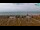 Webcam in Bibione, 0.6 mi away