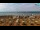 Webcam in Bibione, 1.5 mi away
