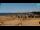 Webcam in Bibione, 10.4 km entfernt