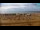 Webcam in Bibione, 1.5 mi away