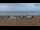 Webcam in Bibione, 0.7 mi away