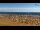 Webcam in Bibione, 0.6 mi away
