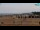 Webcam in Bibione, 0.9 mi away