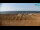Webcam in Bibione, 2 km entfernt