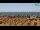 Webcam in Bibione, 11.8 km