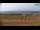 Webcam in Bibione, 0.3 km