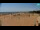 Webcam in Bibione, 0.3 km entfernt