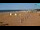 Webcam in Bibione, 0.6 mi away