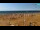 Webcam in Bibione, 2.5 km entfernt