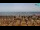 Webcam in Bibione, 2.8 km