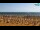 Webcam in Bibione, 2.5 km