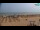 Webcam in Bibione, 11.2 km