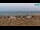 Webcam in Bibione, 11.5 km