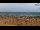 Webcam in Bibione, 2.6 km