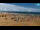 Webcam in Bibione, 2 km