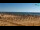 Webcam in Bibione, 1.6 km