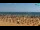 Webcam in Bibione, 2.6 km